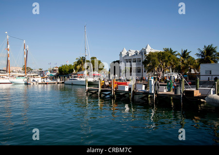 Marina Key West, Florida Keys, Florida, USA Stockfoto