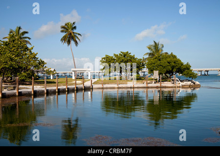 Wharf im Besucherzentrum im Bahia Honda State Park, Florida Keys, Florida, USA Stockfoto