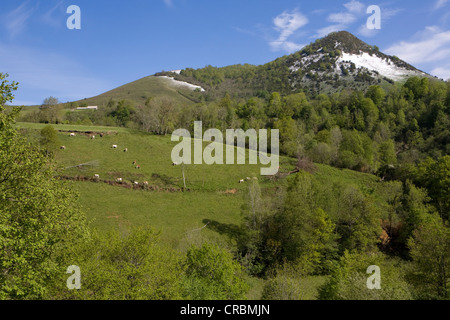 Üppige grüne Täler mit den schneebedeckten Bergen der Pyrenäen in der Nähe der französischen Dorf Lourdios-Ichè; Pyrenees-Atlantiques Stockfoto