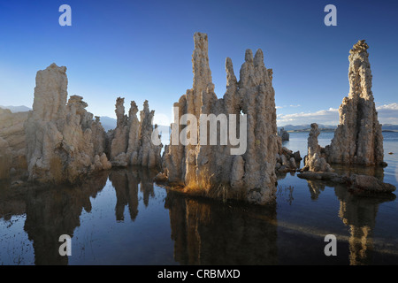 Tuffstein Felsformationen, South Tufa Area, Mono Lake, ein Salzsee, Mono Basin und Range Region, Sierra Nevada, Kalifornien Stockfoto