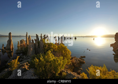 Dämmerung, Sonnenaufgang, Tuffstein Felsformationen, South Tufa Area, Mono Lake, ein Salzsee, Mono Basin und Range Region, Sierra Nevada Stockfoto