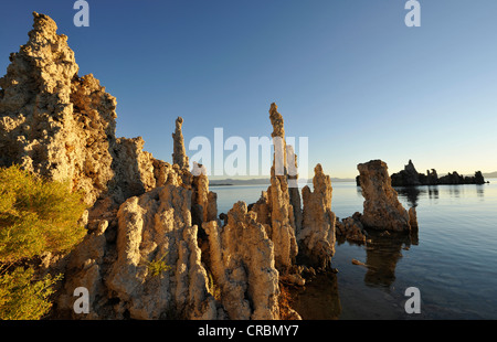 Dämmerung, Sonnenaufgang, Tuffstein Felsformationen, South Tufa Area, Mono Lake, ein Salzsee, Mono Basin und Range Region, Sierra Nevada Stockfoto