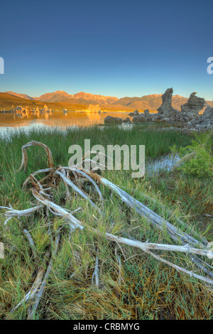 Dämmerung, Sonnenaufgang, Tuffstein Felsformationen, South Tufa Area, Mono Lake, ein Salzsee, Mono Basin und Range Region, Sierra Nevada Stockfoto