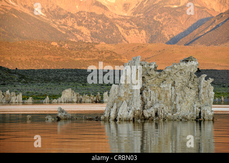 Dämmerung, Sonnenaufgang, Tuffstein Felsformationen, South Tufa Area, Mono Lake, ein Salzsee, Mono Basin und Range Region, Sierra Nevada Stockfoto