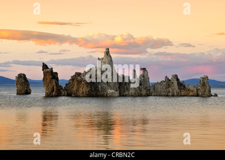 Tuffstein, Fischadler (Pandion Haliaetus) in Tuffstein Felsformationen, South Tufa Area, Mono Lake, Sonnenuntergang, Dämmerung, ein Nest mit dem Fallschirm Stockfoto