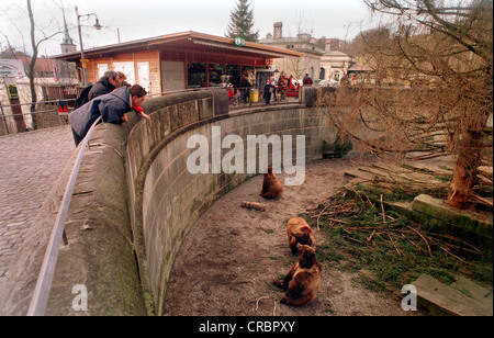 Die Baerengraben in Bern Stockfoto