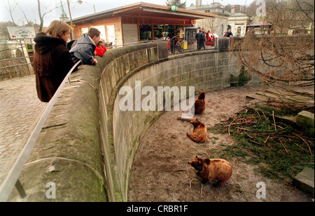 Die Baerengraben in Bern Stockfoto