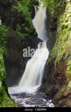 Wasserfall, Glenariff River, Glenariff Forest Park, Glenariff, Glens of Antrim, County Antrim, Vereinigtes Königreich, Europa Stockfoto