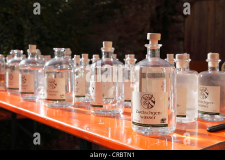 Schnapsflaschen, Sliwowitz, geöffnet an der Brennereien, Gästehaus Seitz Brennerei, Thuisbrunn, Gemeinde Graefenberg Stockfoto