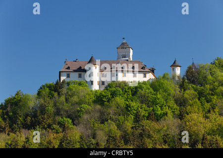 Burg Greifenstein, Heiligenstadt, Schweiz, Oberfranken, Franken, Bayern, Deutschland, Europa, PublicGround Stockfoto