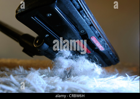 Einen grobe Teppich saugen Stockfoto
