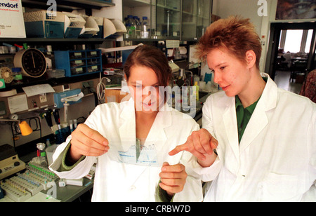 Genetik-Labor bei der Schering AG in Berlin, Deutschland Stockfoto