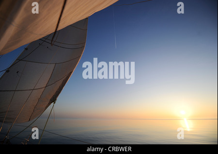 Segeln ohne Wind, Sonnenuntergang, IJsselmeer, Niederlande, Europa Stockfoto