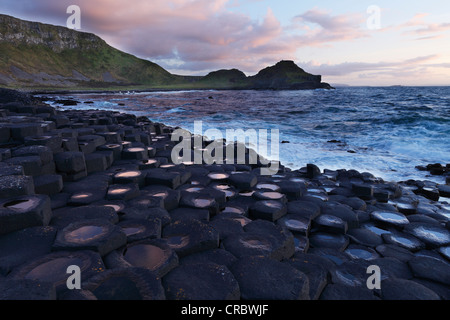 Basalt Säulen, Giant es Causeway, Causeway-Küste, County Antrim, Nordirland, Vereinigtes Königreich, Europa Stockfoto