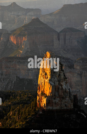 Blick vom Point Imperial in Richtung Mount Hayden und Alsap Butte im Morgenlicht, Nationalpark Grand Canyon North Rim Stockfoto