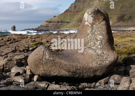 Der Riese Boot, Giant es Causeway, Causeway Coast, Antrim, Nordirland, Vereinigtes Königreich, Europa Stockfoto