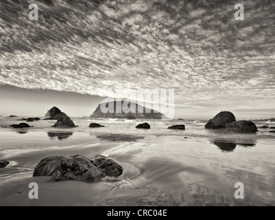 Strand und Wolken. Harris Beach State Park, Oregon Stockfoto