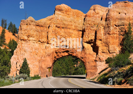 Felsbogen in einer roten Felsformation, Straßentunnel, Red Canyon, Utah, USA Stockfoto