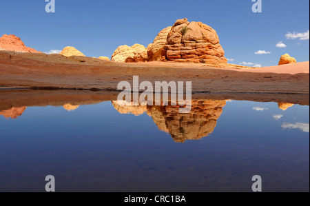 Gehirn Felsen spiegelt sich im Pool des Regenwassers, Top Rock, südlichen Eingang zum The Wave Sandsteinformation, North Coyote Buttes, Stockfoto