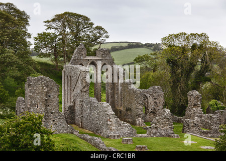 Ruinen von Zoll-Abtei, Downpatrick, County Down, Nordirland, Irland, Vereinigtes Königreich, Europa, PublicGround Stockfoto