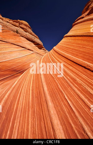 Die Welle, gebändert erodiert Navajo Sandsteinfelsen mit Liesegang Bands, Liesegangen Ringe oder Liesegang-Ringe, North Coyote Buttes, Stockfoto