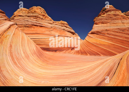 Die Welle, gebändert erodiert Navajo Sandsteinfelsen mit Liesegang Bands, Liesegangen Ringe oder Liesegang-Ringe, North Coyote Buttes, Stockfoto