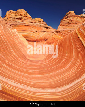 Die Welle, gebändert erodiert Navajo Sandsteinfelsen mit Liesegang Bands, Liesegangen Ringe oder Liesegang-Ringe, North Coyote Buttes, Stockfoto