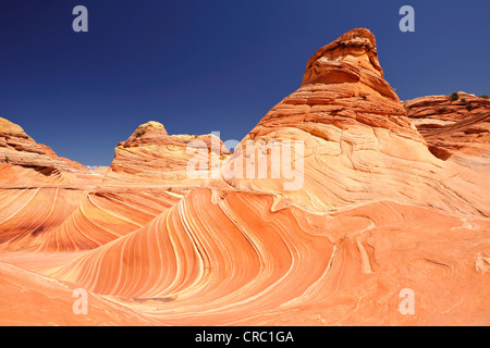 Die Welle, gebändert erodiert Navajo Sandsteinfelsen mit Liesegang Bands, Liesegangen Ringe oder Liesegang-Ringe, North Coyote Buttes, Stockfoto