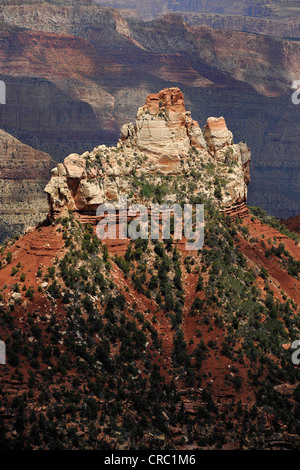 Blick vom Aussichtspunkt Vista Encantada in Grand Canyon National Park, North Rim, Arizona, Vereinigte Staaten von Amerika, USA Stockfoto