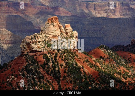 Blick vom Aussichtspunkt Vista Encantada in Grand Canyon National Park, North Rim, Arizona, Vereinigte Staaten von Amerika, USA Stockfoto