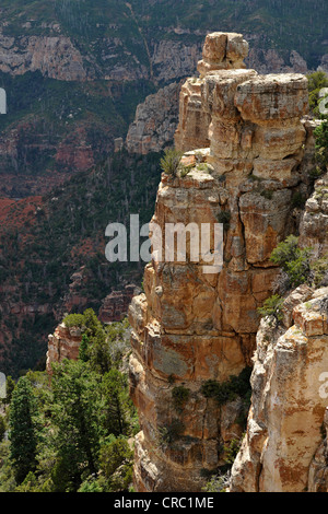 Blick vom Aussichtspunkt Vista Encantada in Grand Canyon National Park, North Rim, Arizona, Vereinigte Staaten von Amerika, USA Stockfoto