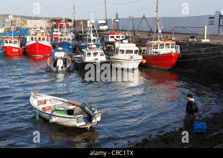 Boote im Hafen, Schären, County Fingal, Republik Irland, Europa Stockfoto