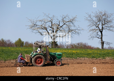 Aussaat von Kartoffeln mit dem Traktor, Thuisbrunn, Fränkische Schweiz, Oberfranken, Franken, Bayern, Deutschland, Europa Stockfoto