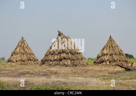 Lagerung von tierischen Lebensmitteln Stockfoto