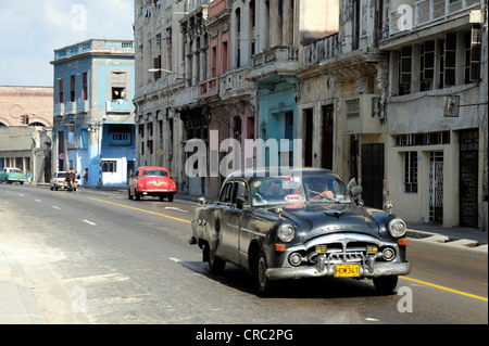 Taxi, schwarzen Oldtimer der 1950 fahren in die Innenstadt von Havanna, Centro Habana, Cuba, große Antillen, Karibik Stockfoto