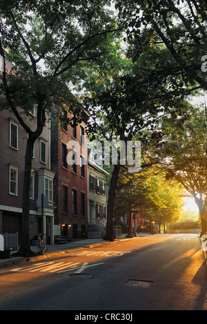 Alte Häuser in Abend Licht auf Middagh Street, Brooklyn Heights, Brooklyn, New York City, USA. Stockfoto