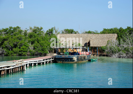 Altes Boot am Pier von Cayo Levisa Insel, Pinar del Rio Province, Kuba, große Antillen, Golf von Mexiko, Caribbean Stockfoto