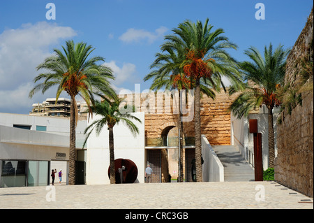 Museu Es Baluard Museum mit moderner Architektur integriert in die alte Stadtmauer von Bastió de Sant Pere, Ciutat Antiga Stockfoto