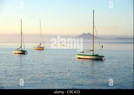Segelboote in der Bucht von Puerto de Pollensa, Port de Pollenca, Mallorca, Balearen, Mittelmeer, Spanien, Europa Stockfoto