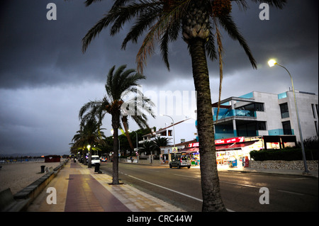 Strandpromenade mit Palmen, Gewitterhimmel, Puerto de Pollensa, Port de Pollenca, Mallorca, Mallorca, Balearen Stockfoto