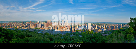 Panoramablick auf Kanada, Quebec, Montreal, Innenstadt im Sommer Stockfoto