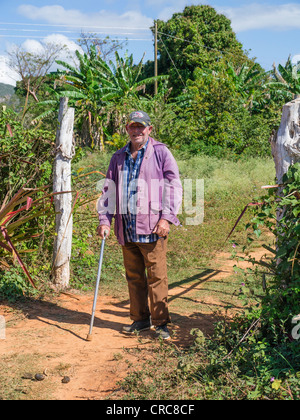 Eine ältere Bauer steht auf einem Feldweg in Ackerland in der Nähe der westlichen Kuba Viñales in der Provinz Pinar Del Rio. Stockfoto