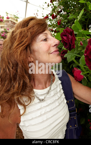 Frau duftende Rosen im Chelsea Flower Show London UK Stockfoto