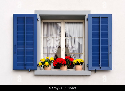Windows mit Blüten in hängenden Blumentöpfe aus der Schweiz Stockfoto