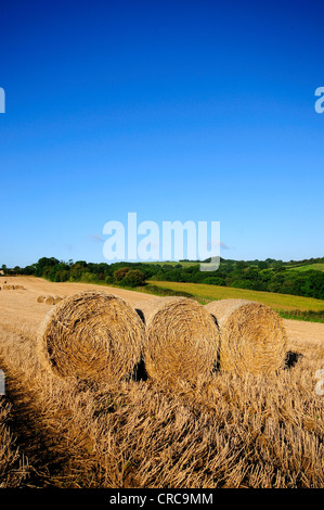 Nach der Ernte - sind Runde Strohballen in den Bereichen UK links Stockfoto