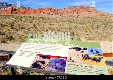 Besucher Red Rock Canyon Conservation Area Las Vegas Nevada Stockfoto