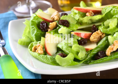 Frische hausgemachte Waldorf Salat Salat, Apfel, Sellerie, Walnüsse, Rosinen und eine Mayonnaise-Sauce, serviert auf einem Teller Stockfoto