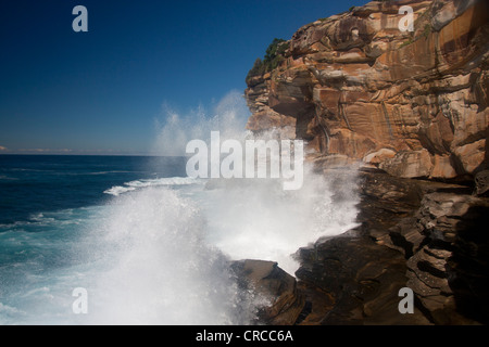 Riesige Meereswellen gegen Felsen Bronte östlichen Vororten Sydney New South Wales Australien Stockfoto