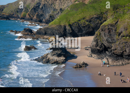 Llangrannog und Cilborth Strände mit Carreg Bica rock-Stack und dramatischen Klippen Ceredigion Cardigan Bay Mid Wales UK Stockfoto