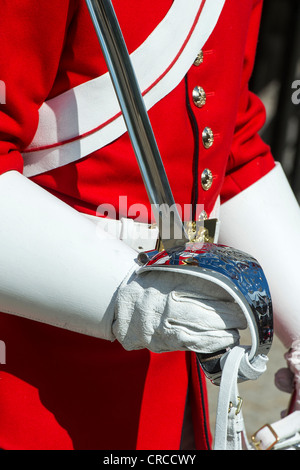 Household Cavalry / Leben Wachen dekorative Schwert Stockfoto